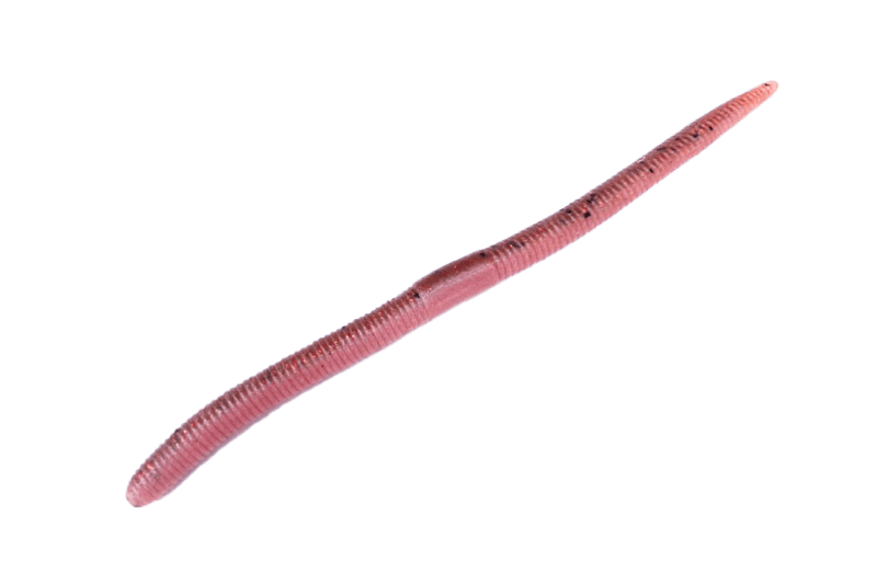 Jackall Flick Shake 3,8"