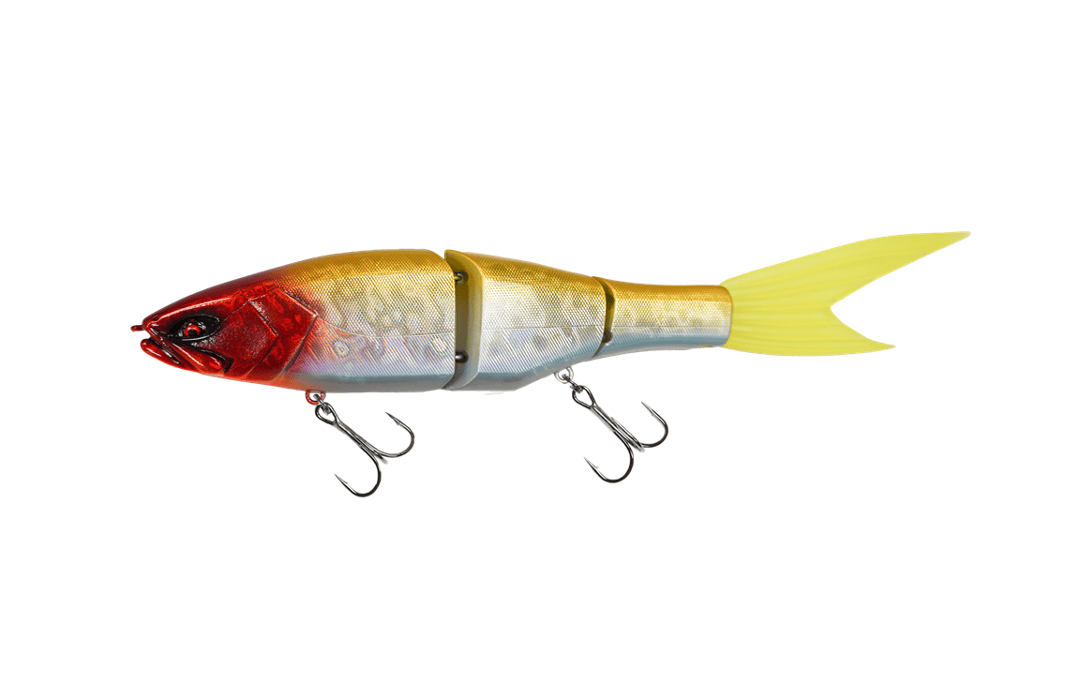 Galapagos Grace 240F