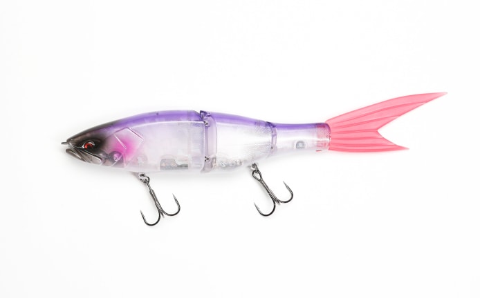 Galapagos Grace 240F