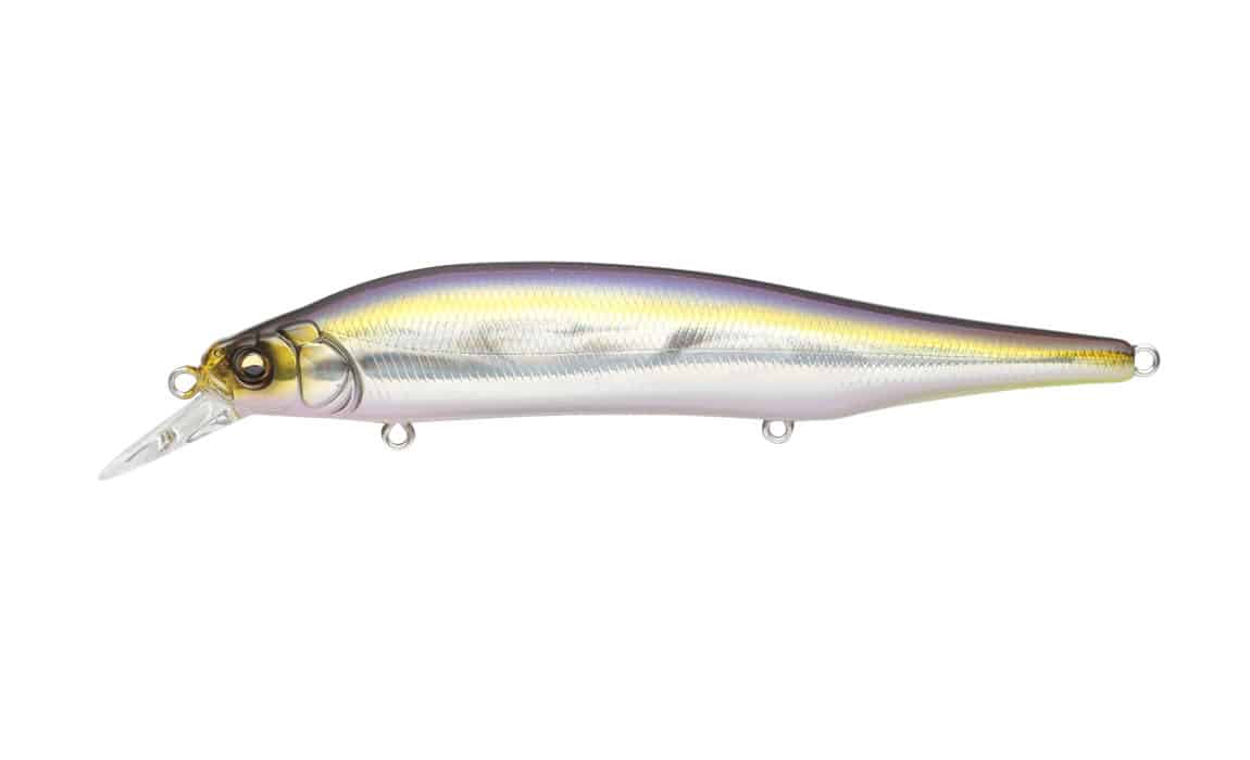 Megabass ITO Shiner