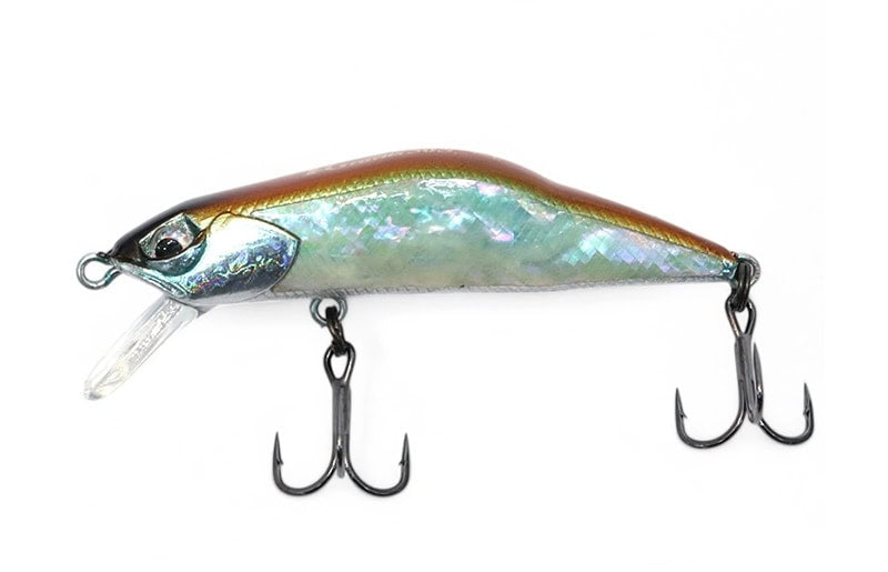 Ivyline T-Gravits HS 70S