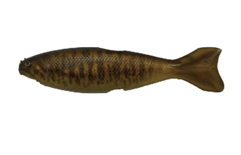 YG.Labo Dorvus 180