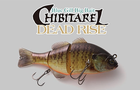 Jackall Chibitarel DR