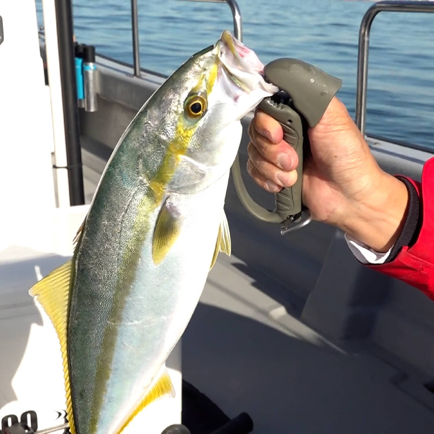 Poignée Daiichiseiko MC