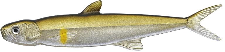 Evergreen Last Ace 168