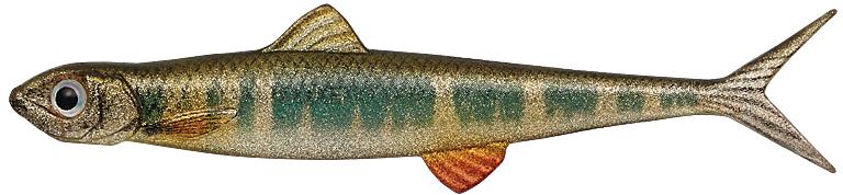 Evergreen Last Ace 95 F