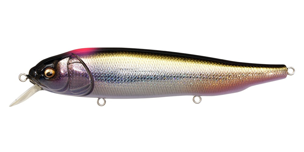 Megabass Lates Feeding Woofer