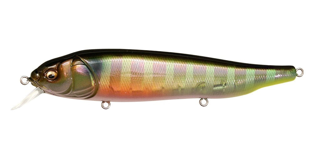 Megabass Lates Feeding Woofer