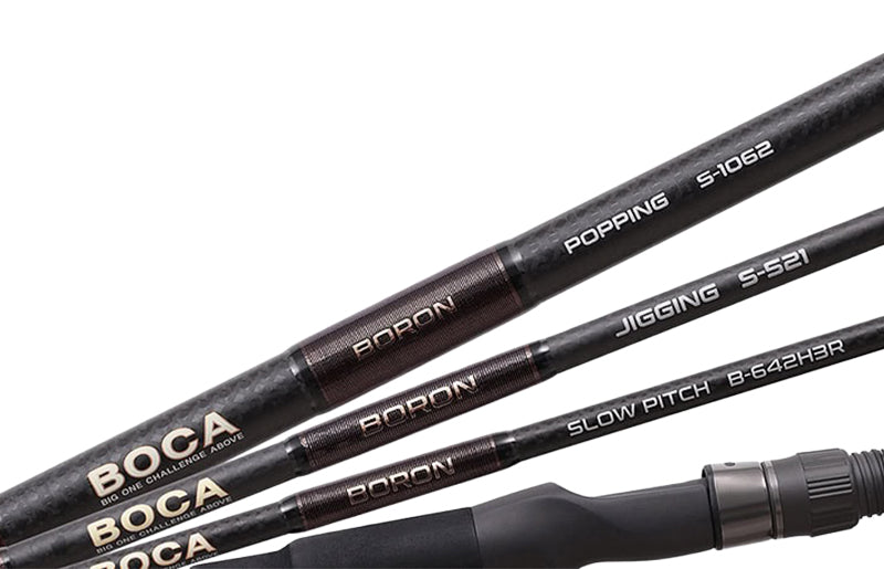 NS BlackHole Boca Boron
