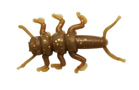 Nikko Stonefly