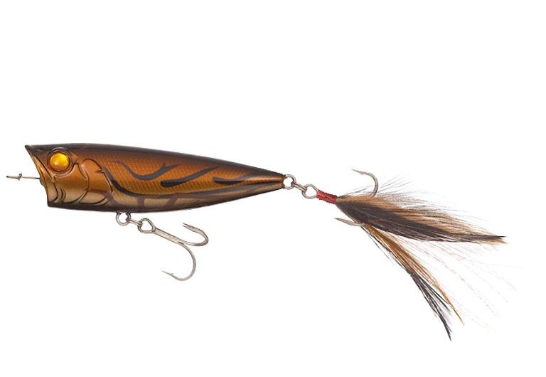 L'insecte d'Evergreen One