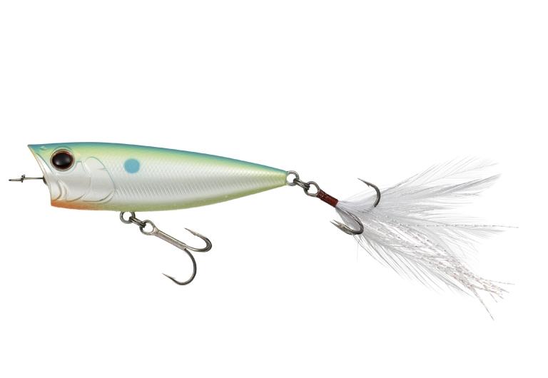 L'insecte d'Evergreen One