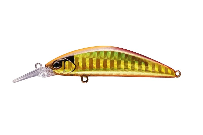Leurre Jackall Timon Tricoroll GT 56 SR-F – Flottant – Lime Yamame – Truite