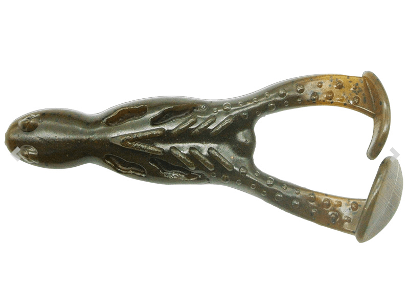 Grenouille à rênes Wake