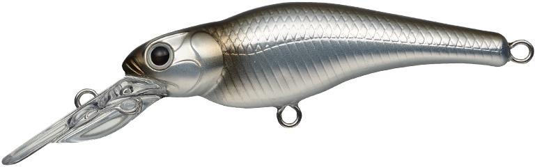 Evergreen Spin Move Shad