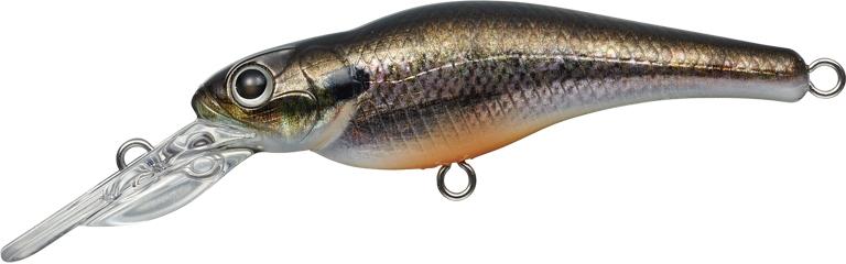 Evergreen Spin Move Shad