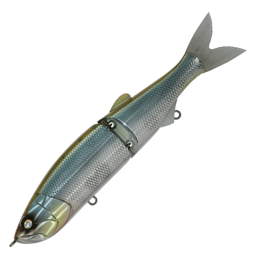 Whiplash Swayward 16 FLS