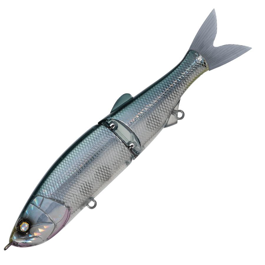 Whiplash Swayward 16 FLS