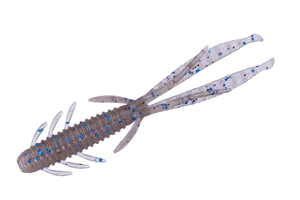 Crevettes vivantes OSP 4"