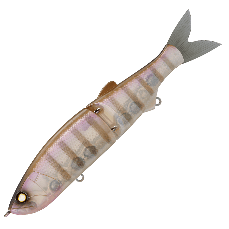 Whiplash Swayward 16 FLS