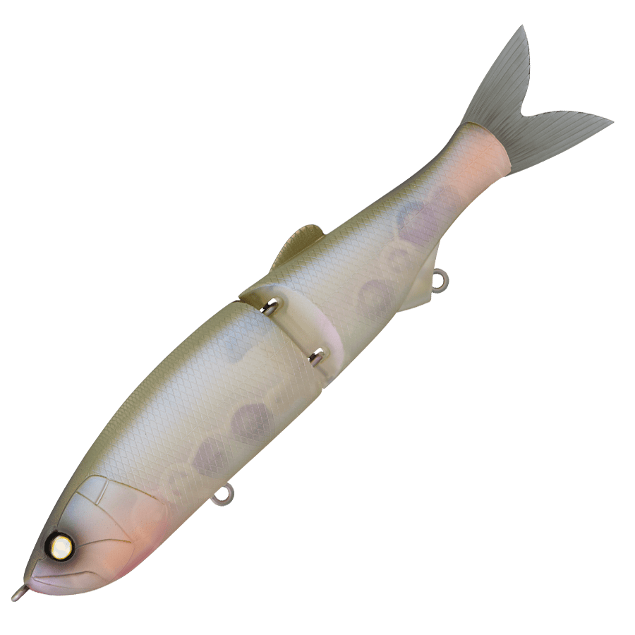 Whiplash Swayward 16 FLS