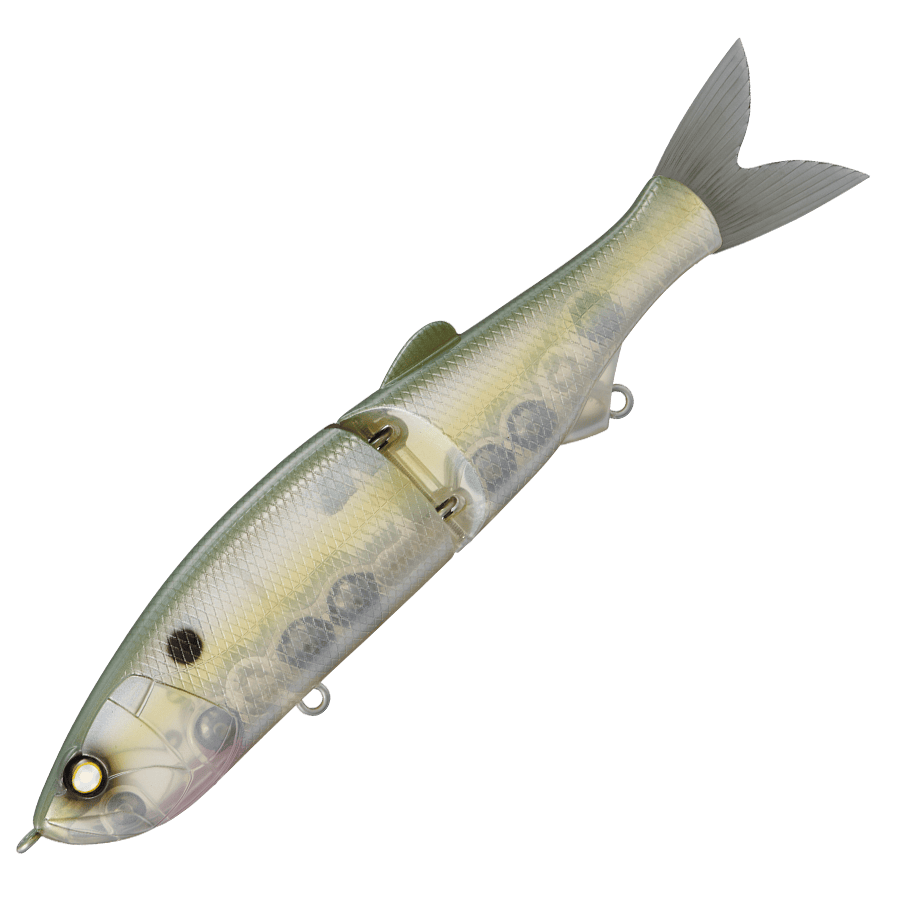 Whiplash Swayward 16 FLS