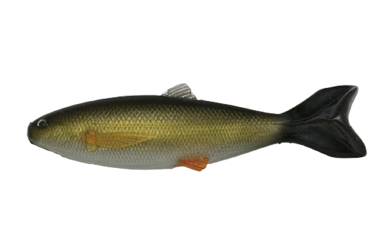 YG.Labo Dorvus 180