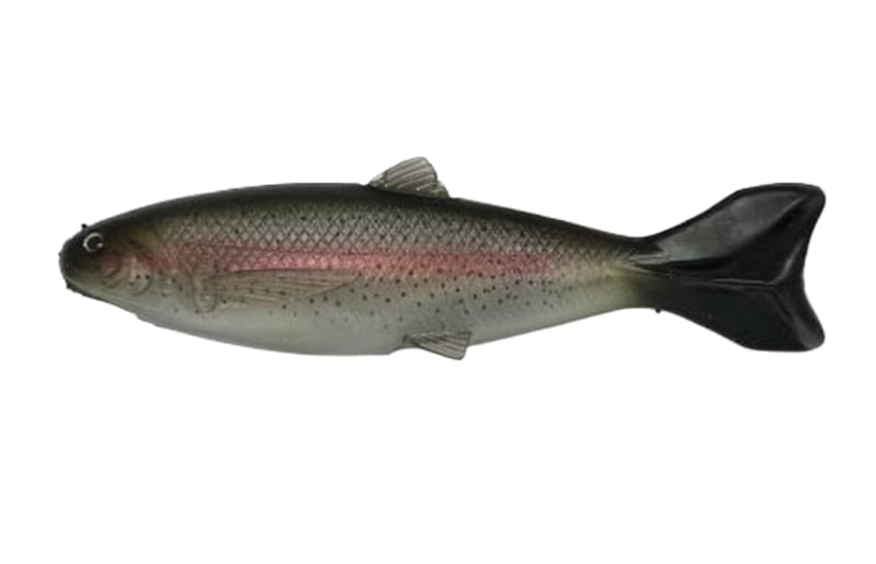 YG.Labo Dorvus 180