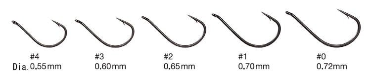 Nogales sous les projecteurs