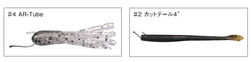 Nogales sous les projecteurs