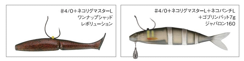 Nogales Wacky Master Monster