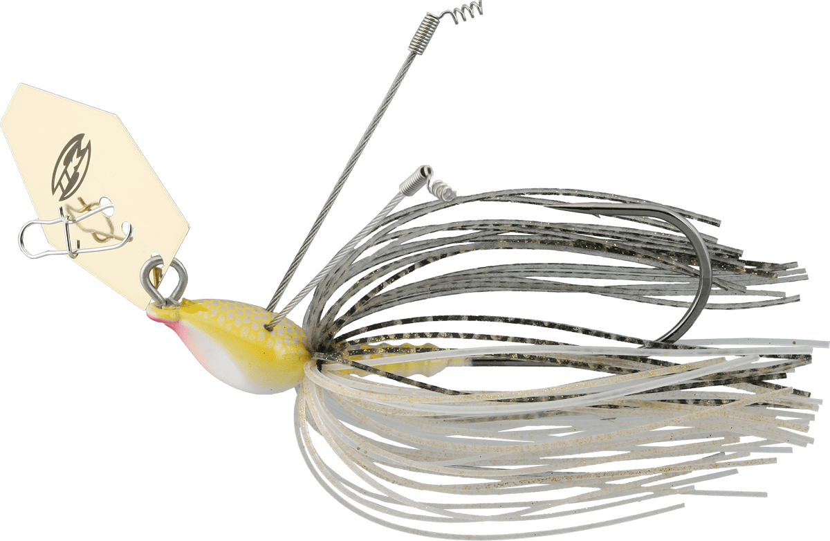 Imakatsu Wing Dragon