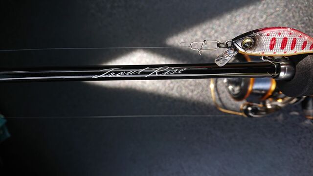 Shimano 26 Trout Rise