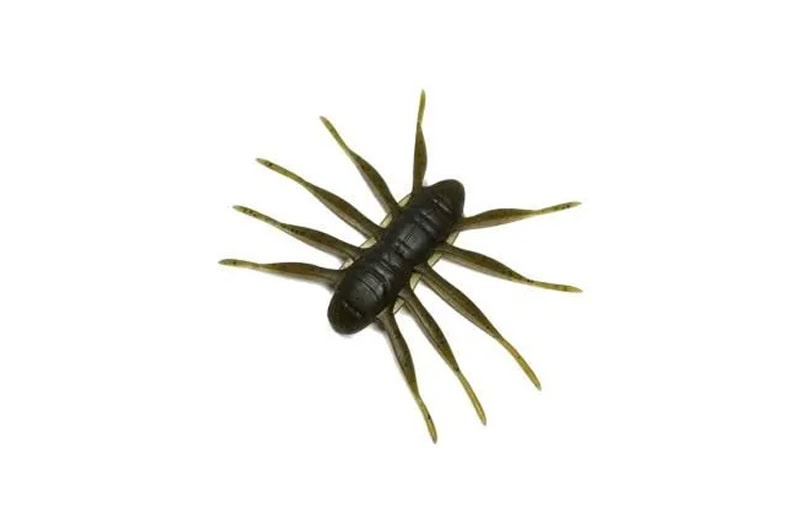 BAUM x Designo Bofu55