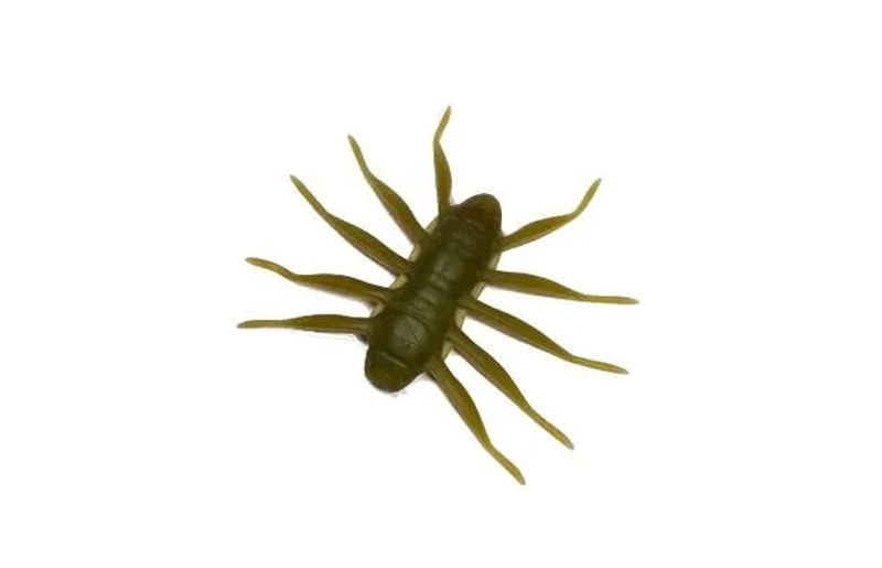 BAUM x Designo Bofu55