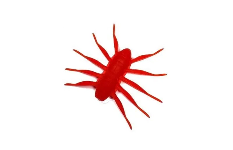 BAUM x Designo Bofu55