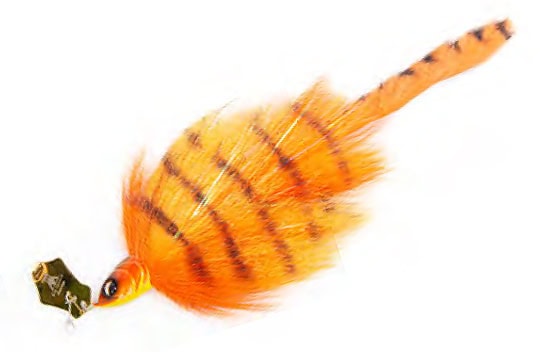 Appât BimTackle ChaCha