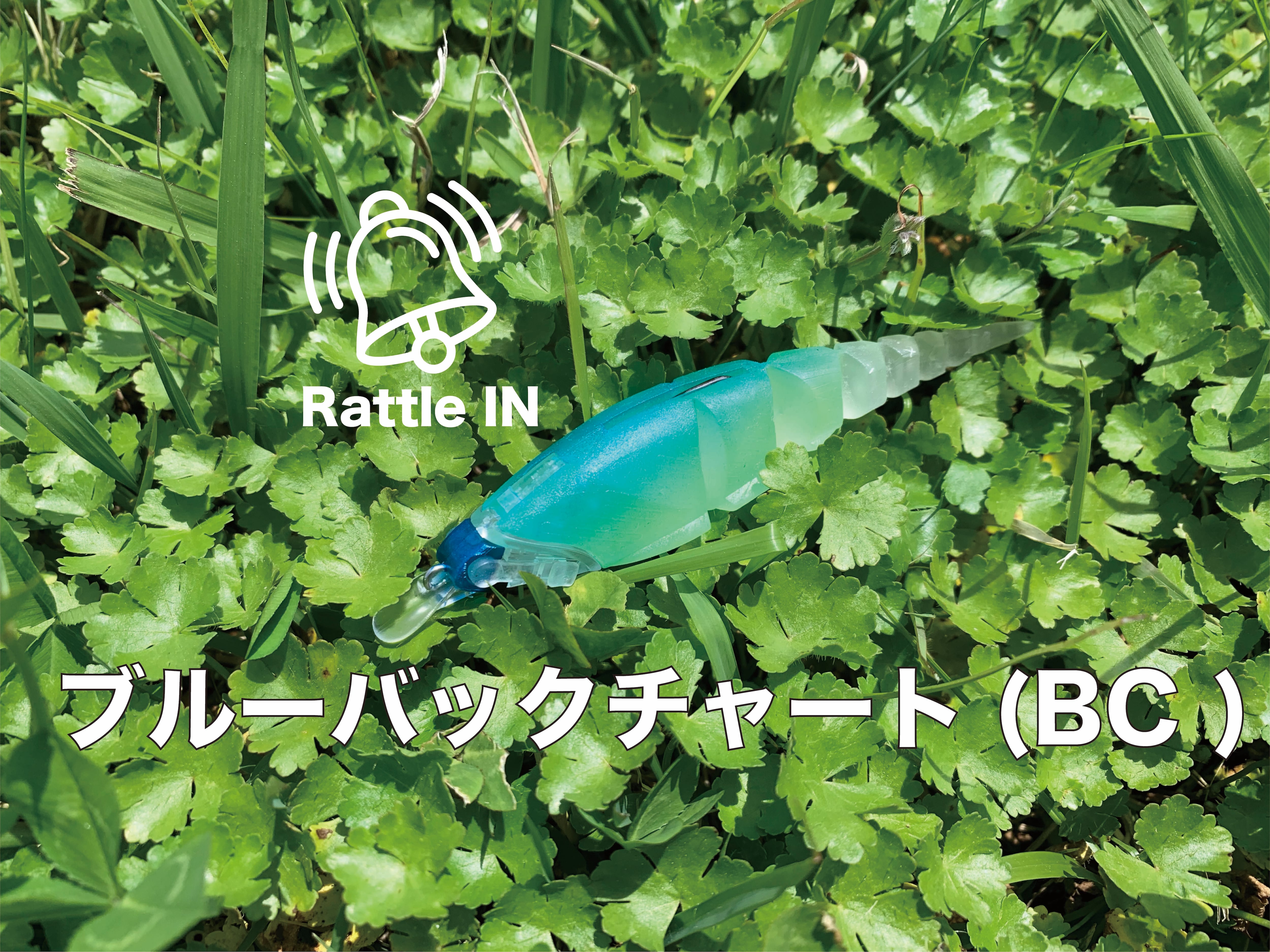 TTT β-Minnow