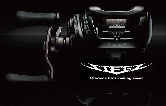 Daiwa '24 Steez SV TW 100