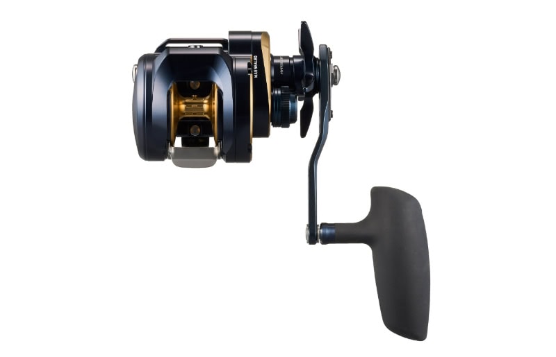 Daiwa '25 Saltiga 300 (right)