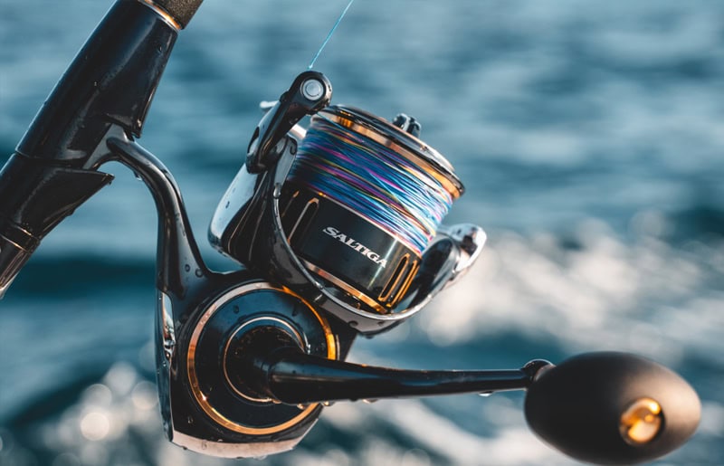 Daiwa '25 Saltiga – High-End Offshore Rolle mit maximaler Power
