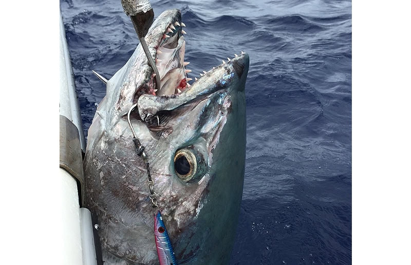 Leurre JS-2 Jigging Single Cutlass