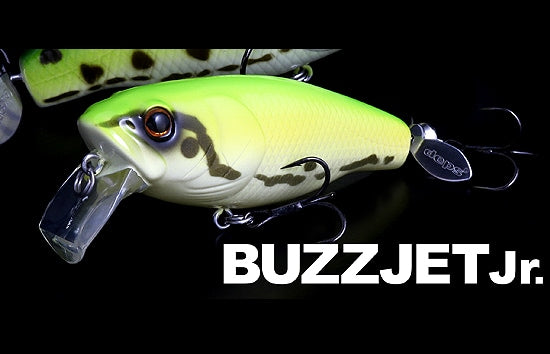 Dépôt Buzz Jet Jr.