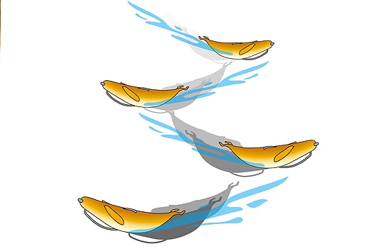 Deps Sakamata Shad 7"