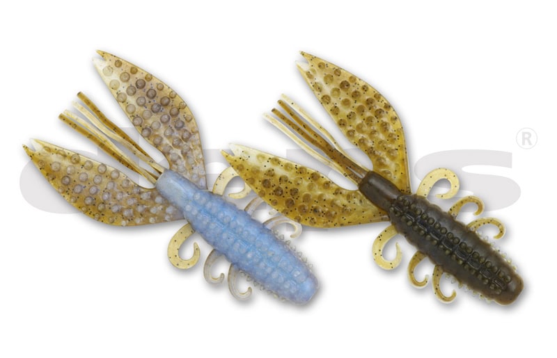 Crabe épineux de Deps