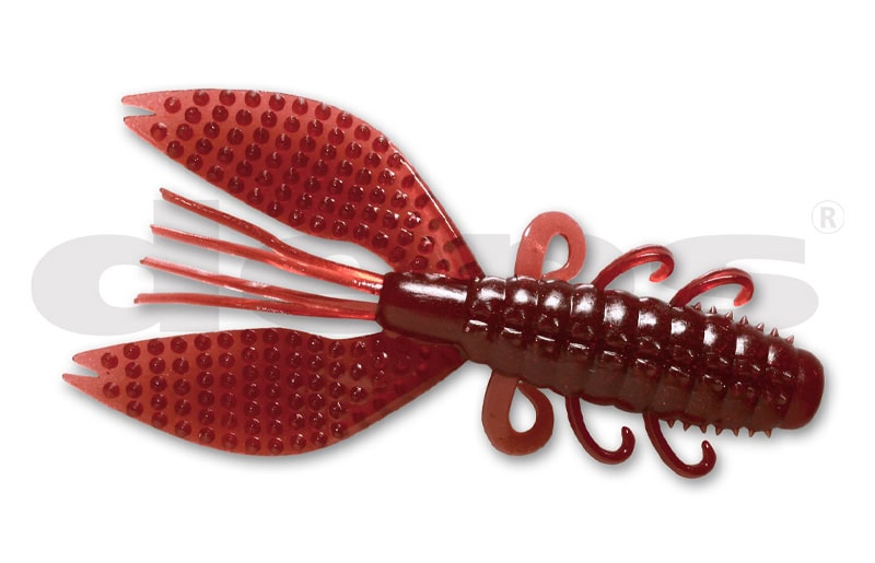 Crabe épineux de Deps