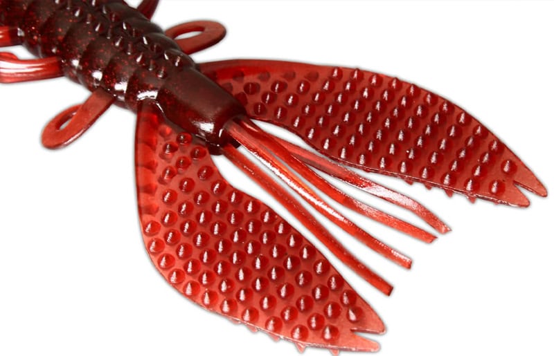 Crabe épineux de Deps