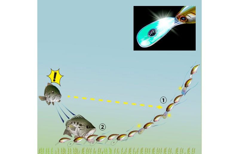 Duel La Tour Shad 60SF