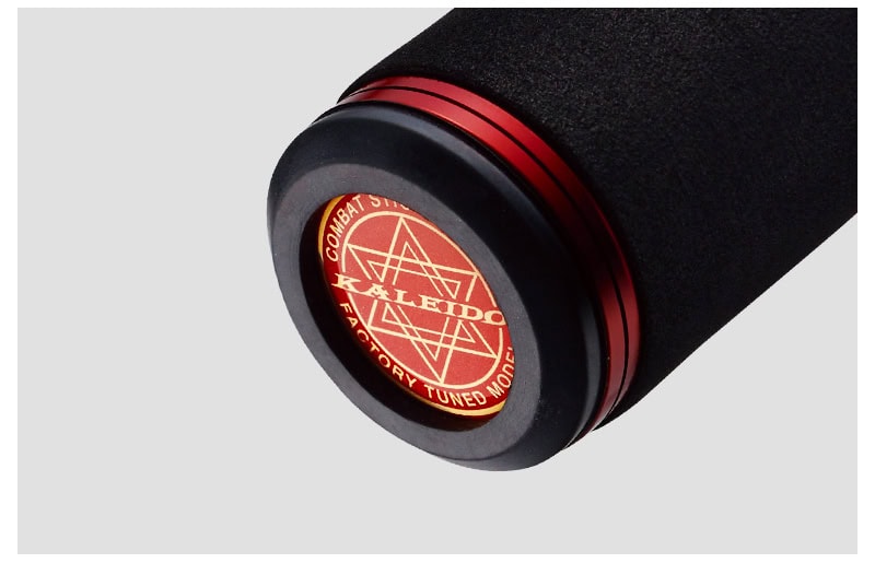 Evergreen Inspirare RS IRSC-66MR-ST Le Vélociraptor