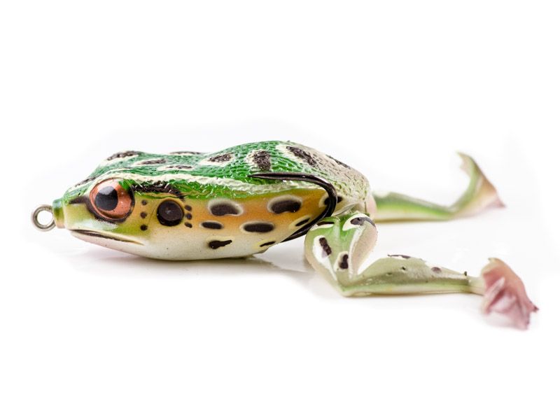 Molix Frog
